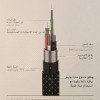 كيبل تايب سي ايفون 14 TYPE-CTOLIGHTNING (PD) 